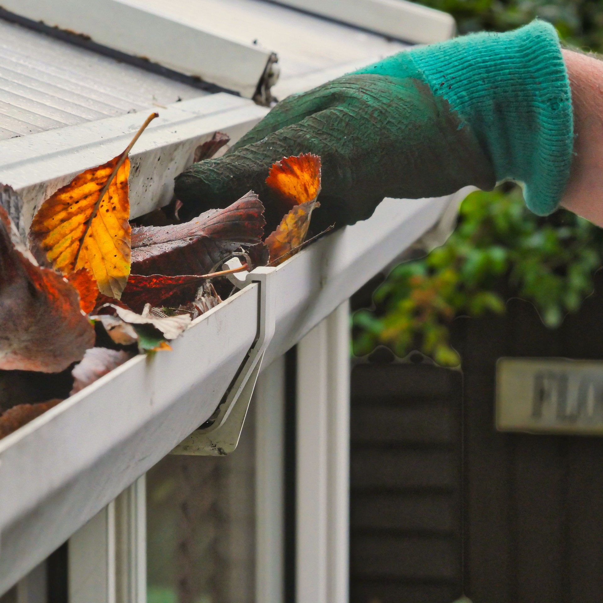Hand with glove removing autumn leaves from gutter