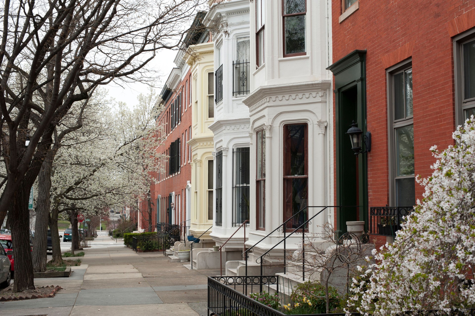 Row Houses in Baltimore
